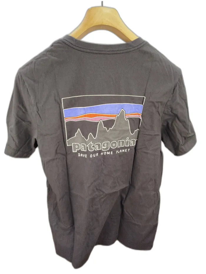 Patagonia T-Shirt Skyline  Grigio