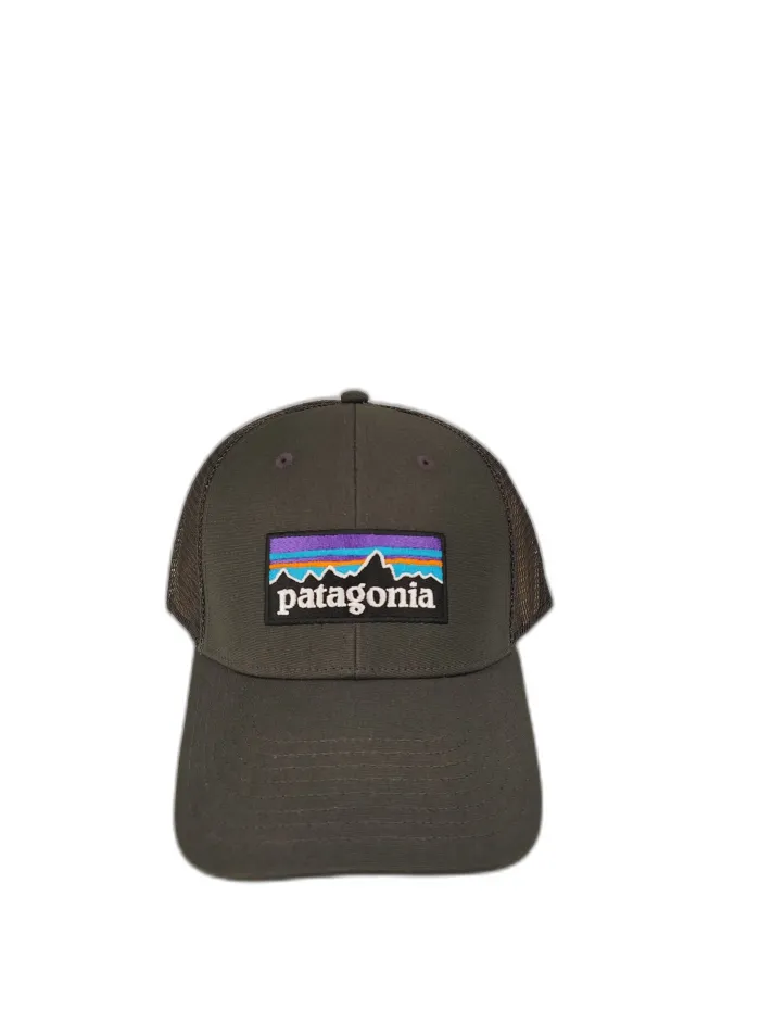 Patagonia Cappello Logo Grigio